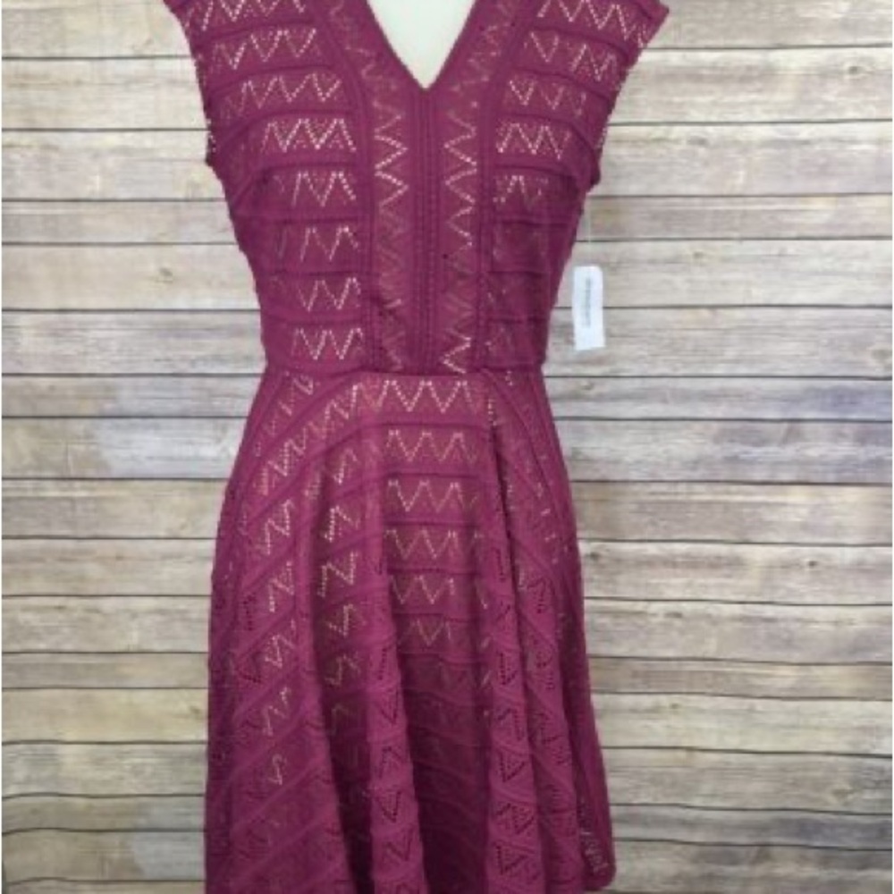 Roz & Ali Raspberry Fit & Flare Dress V-Neck